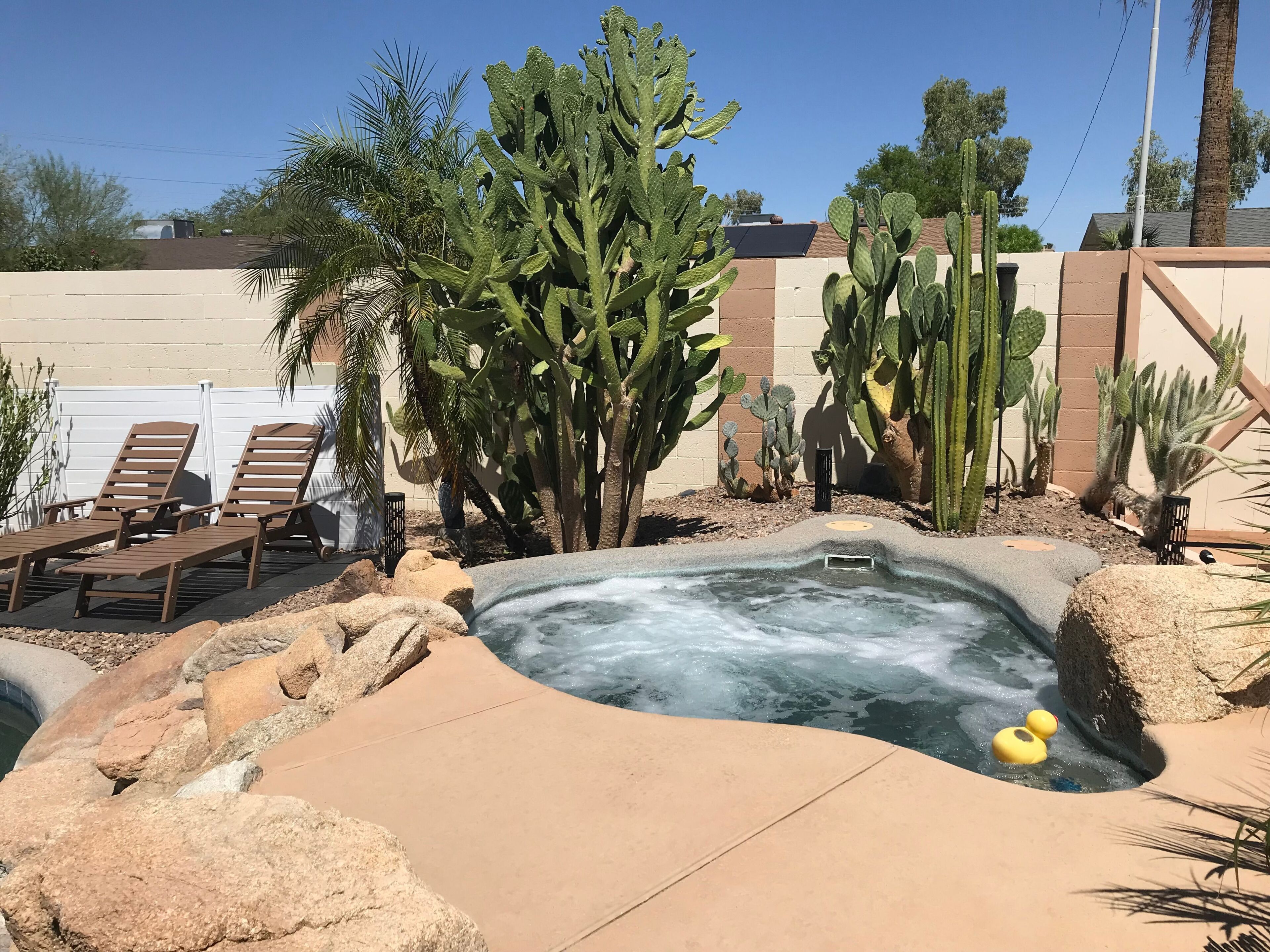 Un bain à remous entouré de rochers et de cactus, avec des chaises longues et un ciel dégagé.