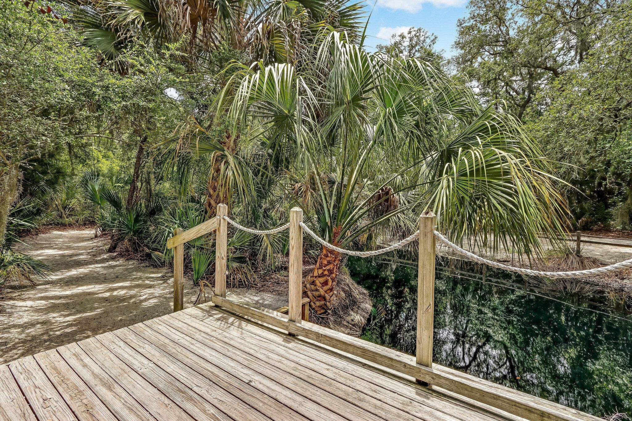 A wooden boardwalk leading through a dense, tropical forest with a rope barrier.