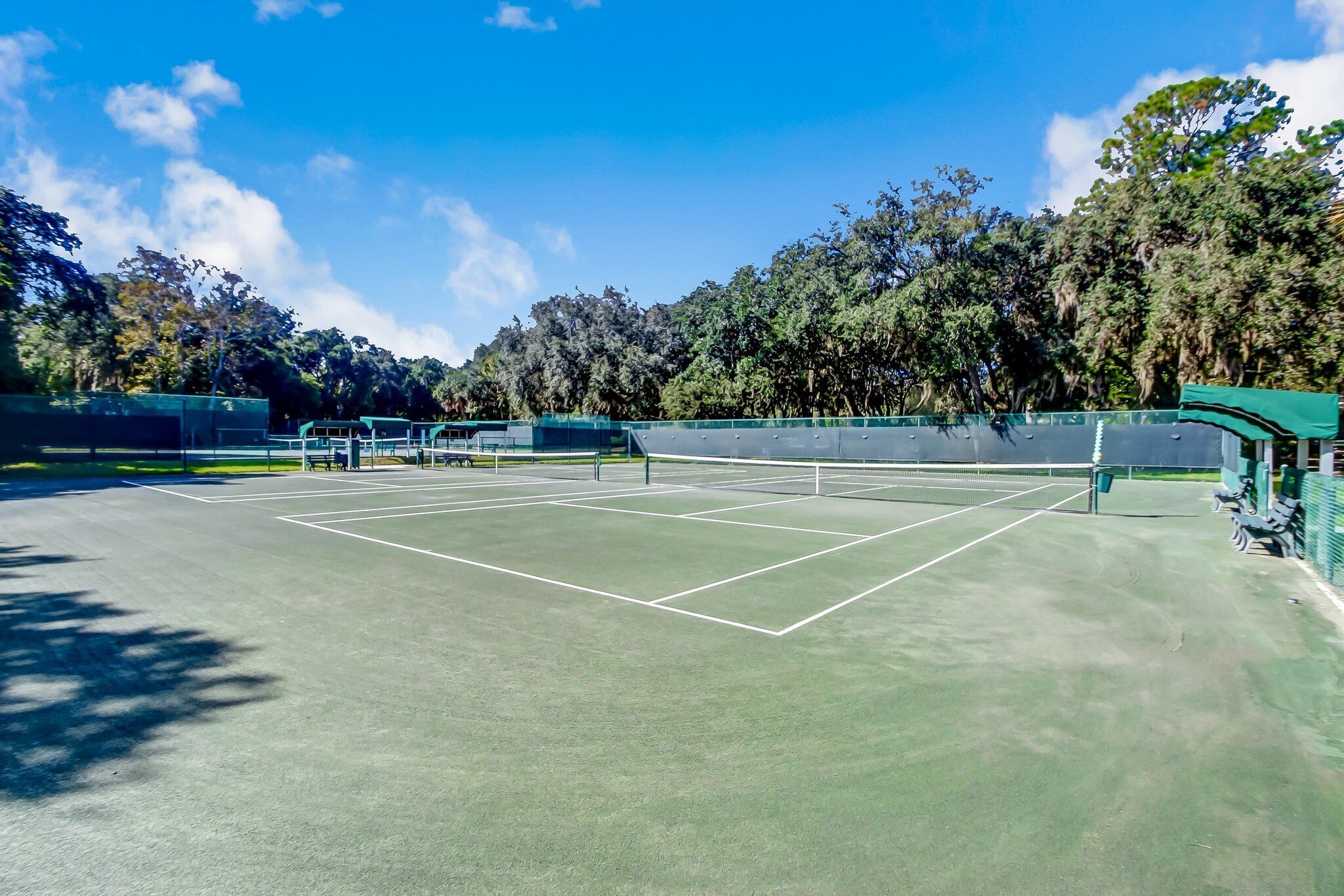 A tennis court with multiple courts, surrounded by trees and a clear sky.