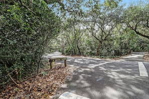 A paved road with a sign indicating beach access, surrounded by dense foliage and trees. - 2063 Beachwood Lovely 2 Bedroom, 2 Bath Beach Wood Villa is Located in Amelia Island Plantation Resort (Fernandina Beach)