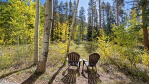 Två Adirondack-stolar i en skog med höga träd och gulnande lövverk.