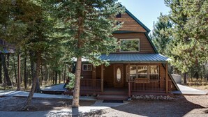 A wooden cabin with a porch, surrounded by trees. - Roger Dodger (Island Park)