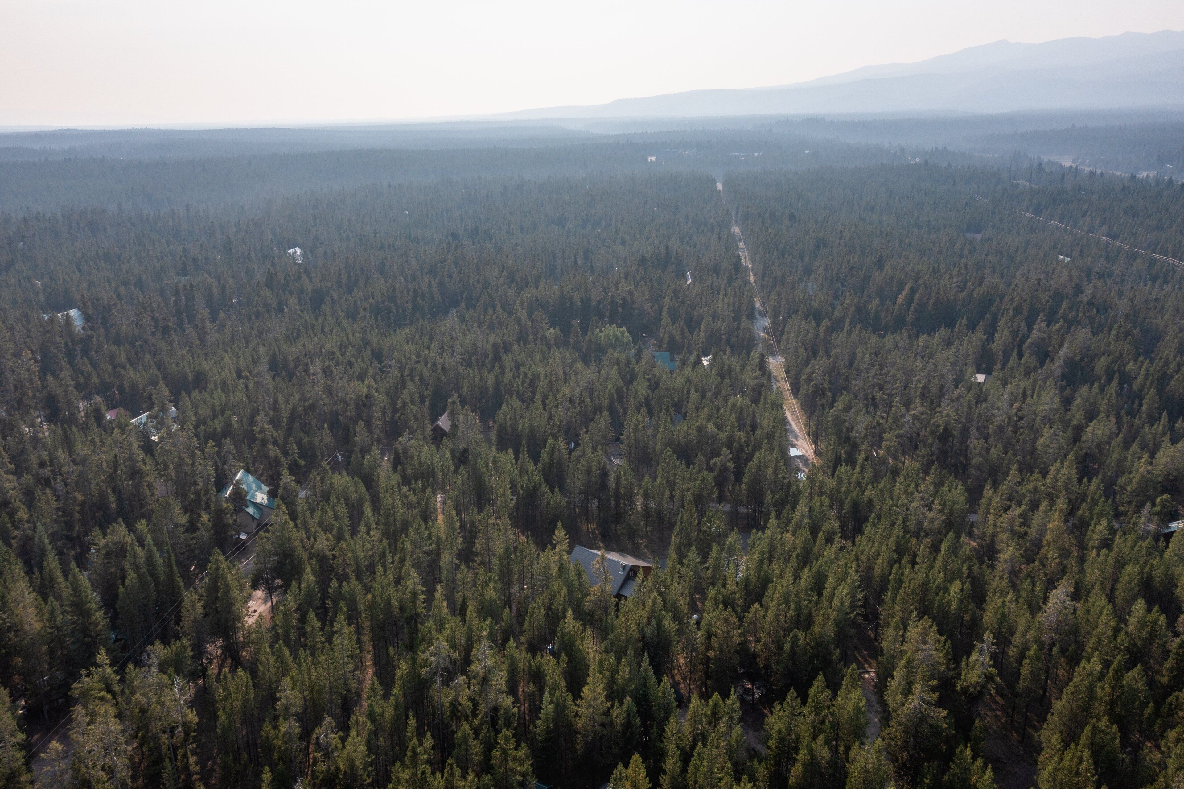 Vista aérea de una zona boscosa con edificios dispersos, probablemente una ubicación rural o apartada.
