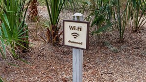 Ein WLAN-Schild in einer natürlichen Umgebung.