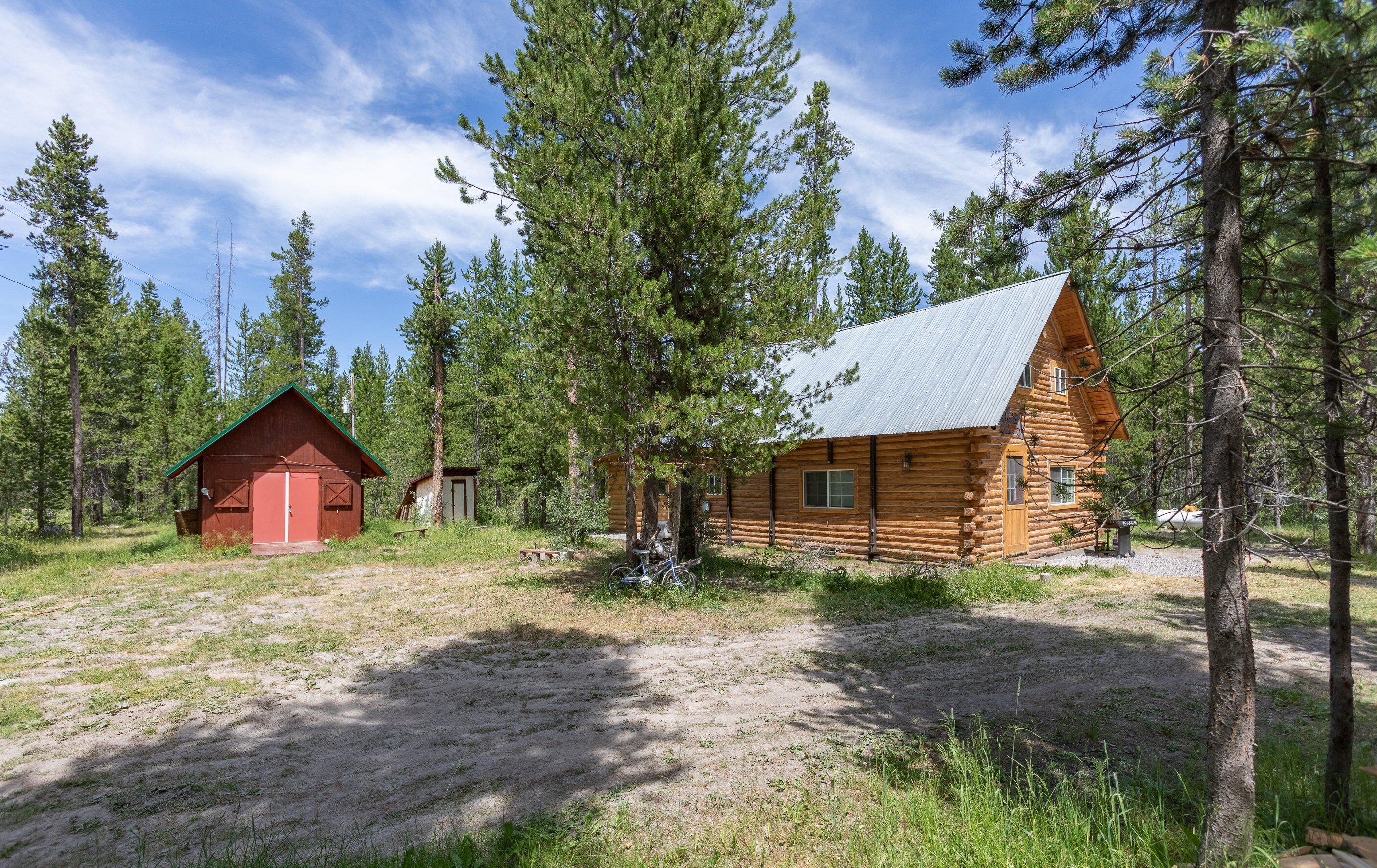 A rustic log cabin with a metal roof, surrounded by tall pine trees.