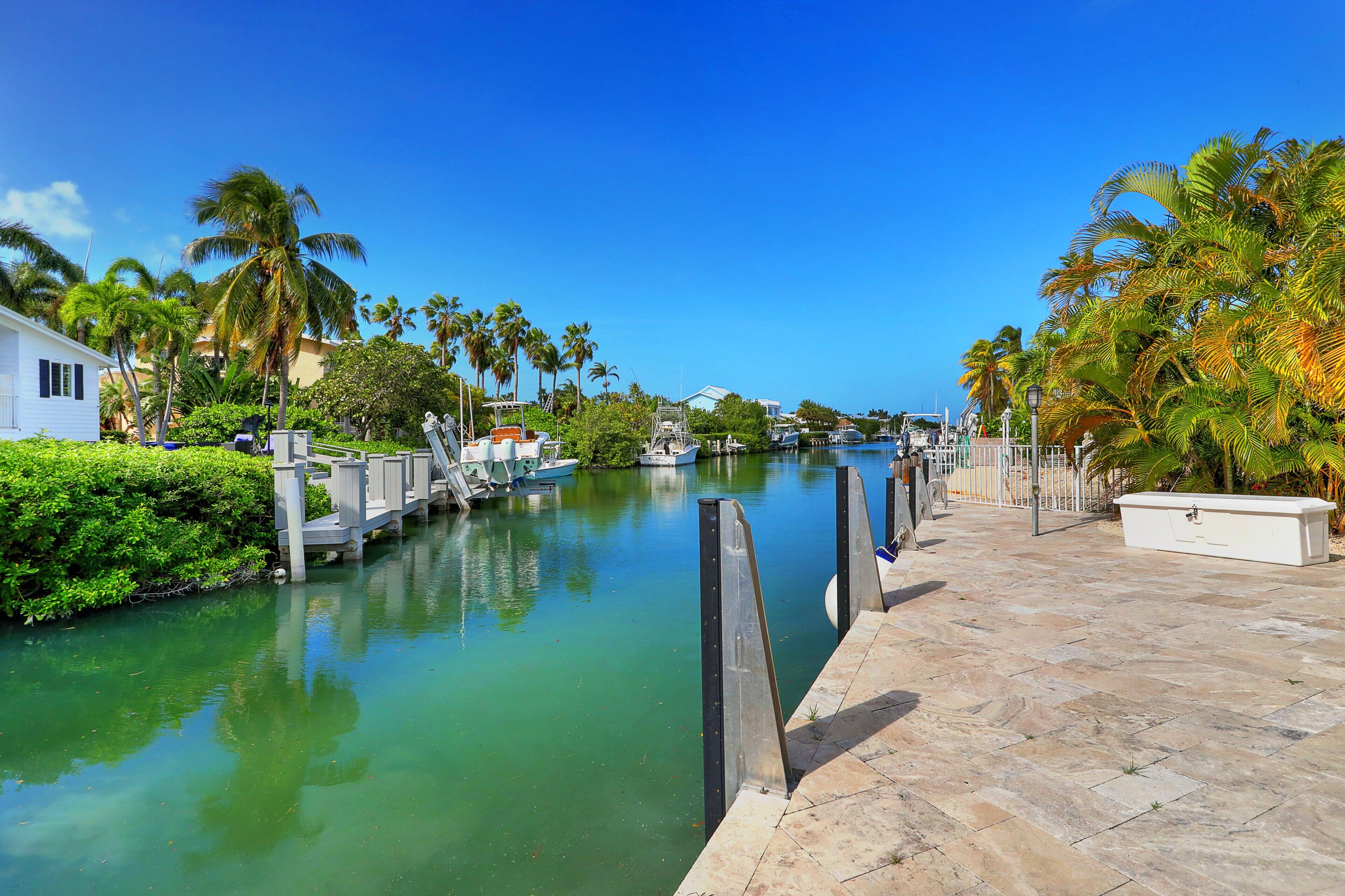 A marina with boats docked, a clear blue sky, and palm trees.