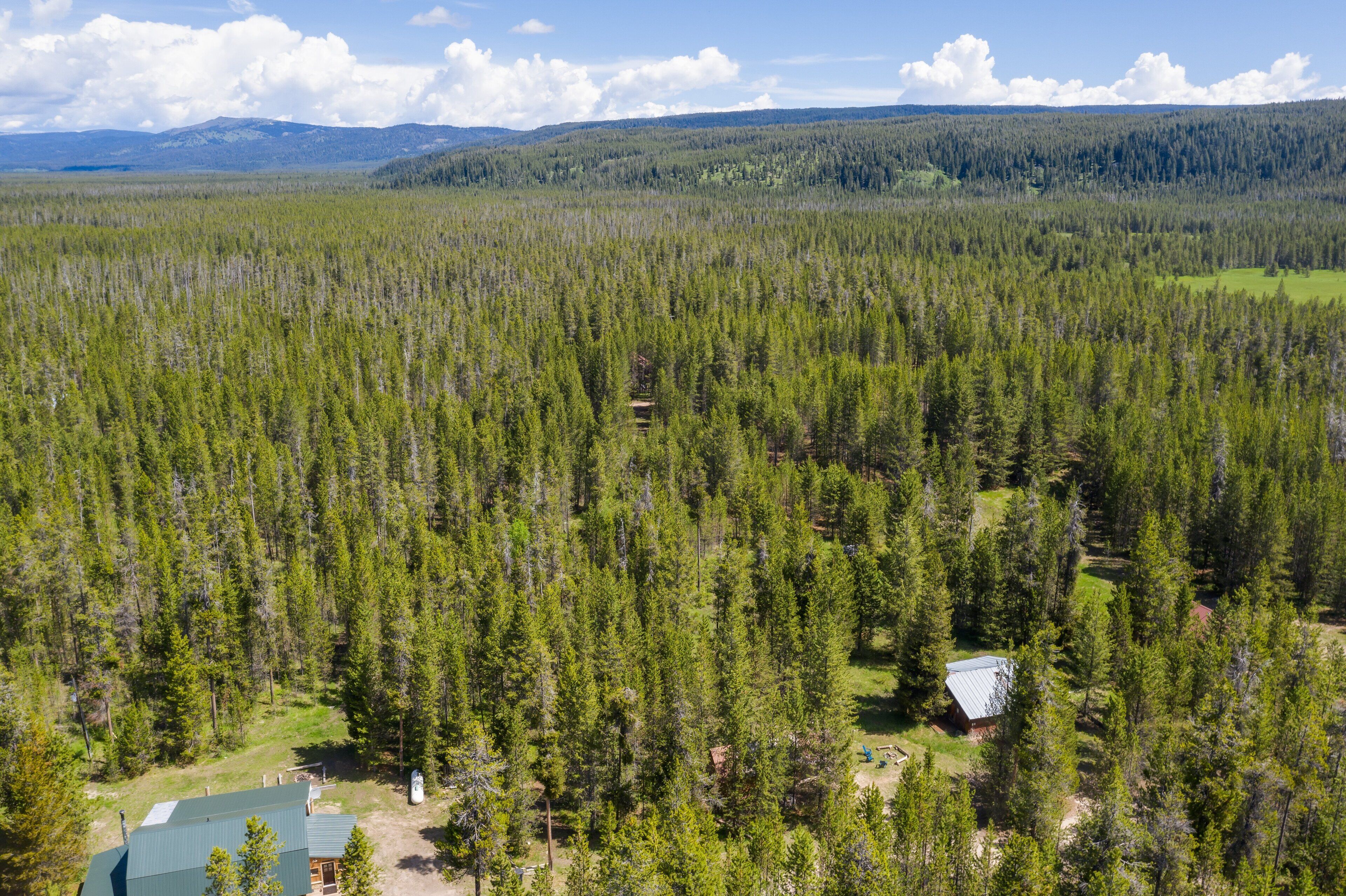 A forested area with a cabin and a small building.