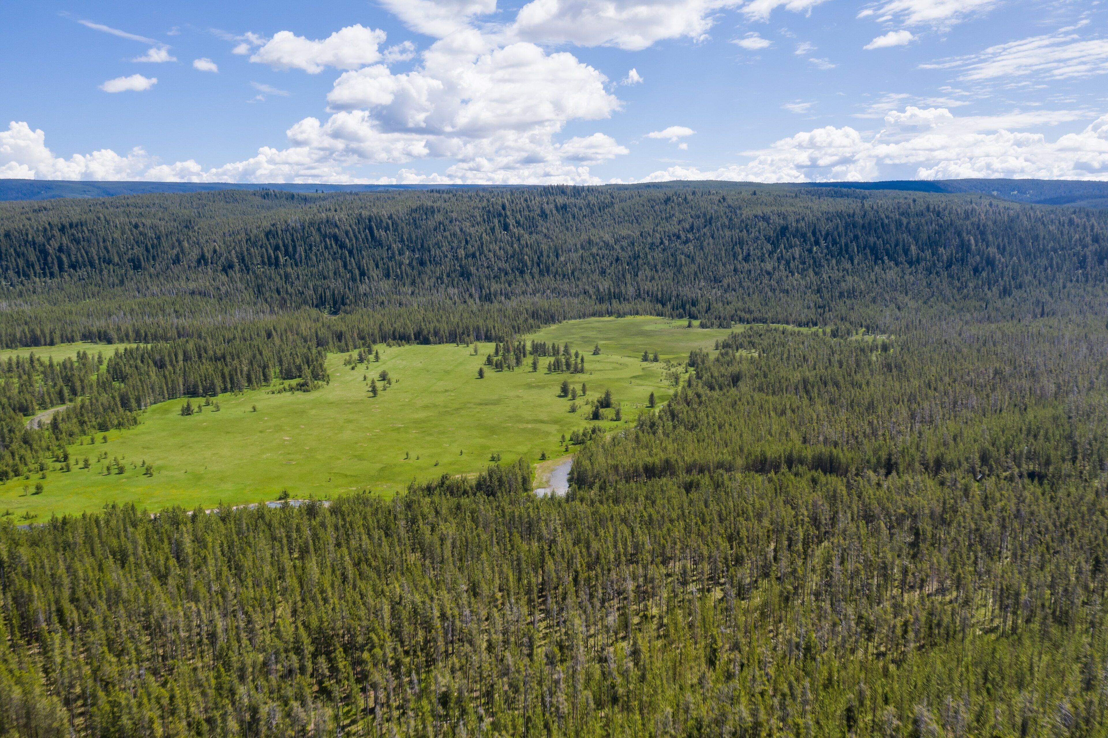 A panoramic view of a forested valley with a green meadow and a small stream.