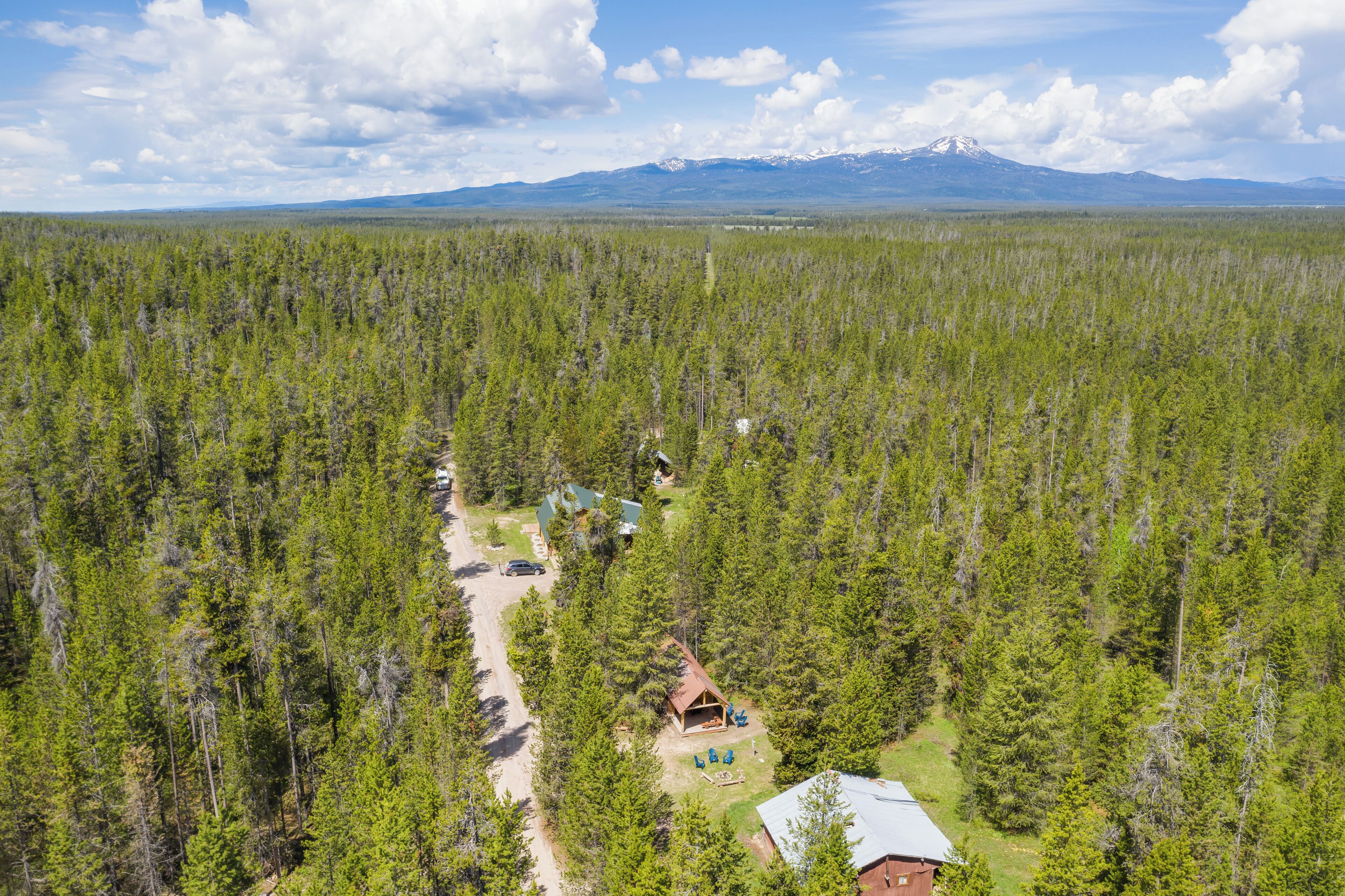 Une zone boisée avec un chalet et une montagne en arrière-plan.