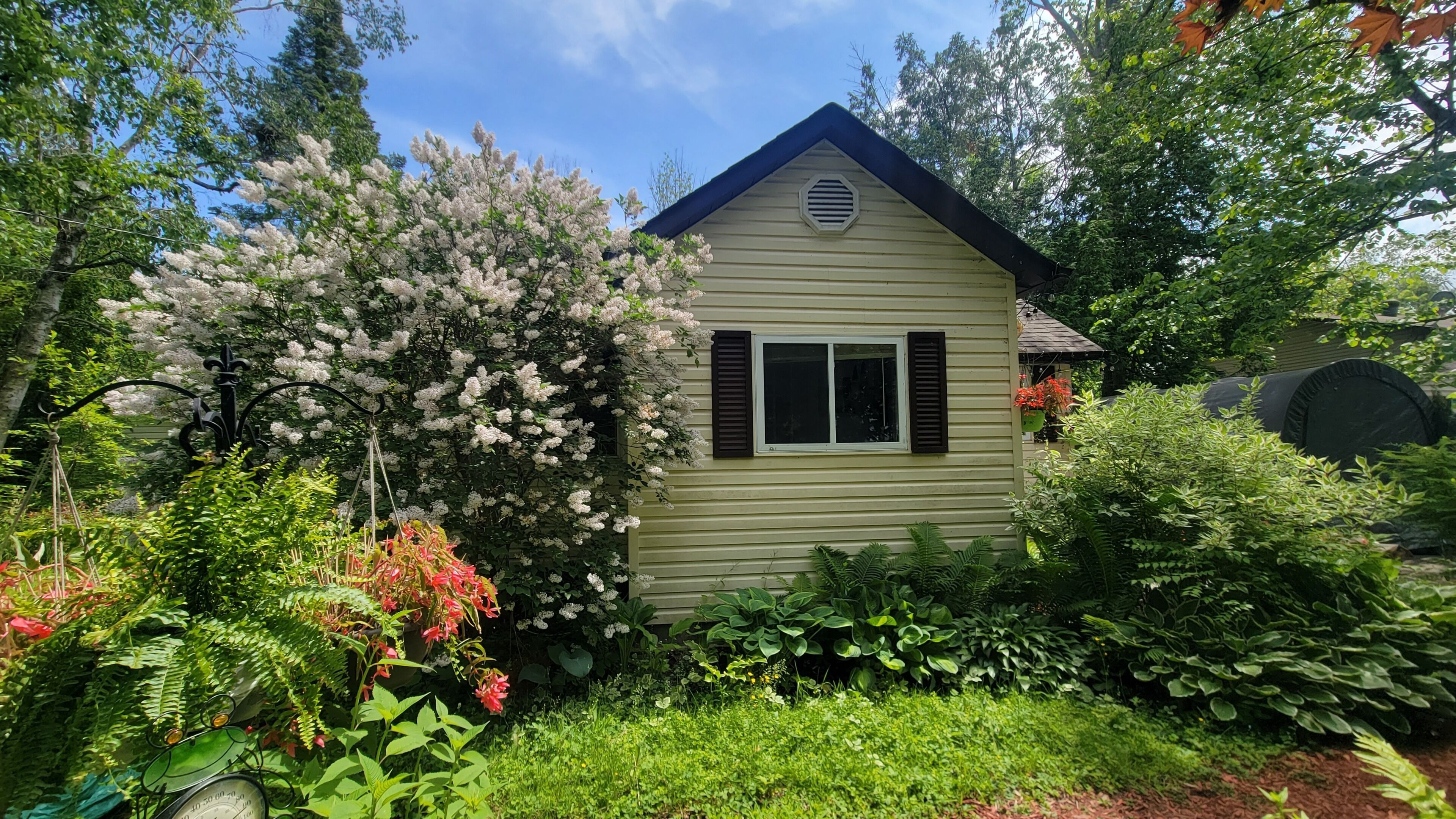 A small, single-story house with a sloped roof, surrounded by lush greenery and flowering plants.