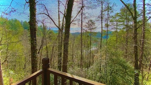 A forested area with a wooden deck. - Moonlit Mountain: A peaceful escape to reconnect, unwind, and breathe deep (Ellijay)