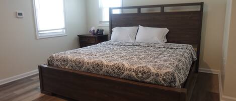 Basic Room, 1 King Bed with 1 Sofa Bed