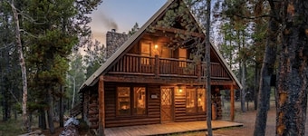 The Hailey Cabin | 30 min to Yellowstone, Fire Pit, & Family Friendly