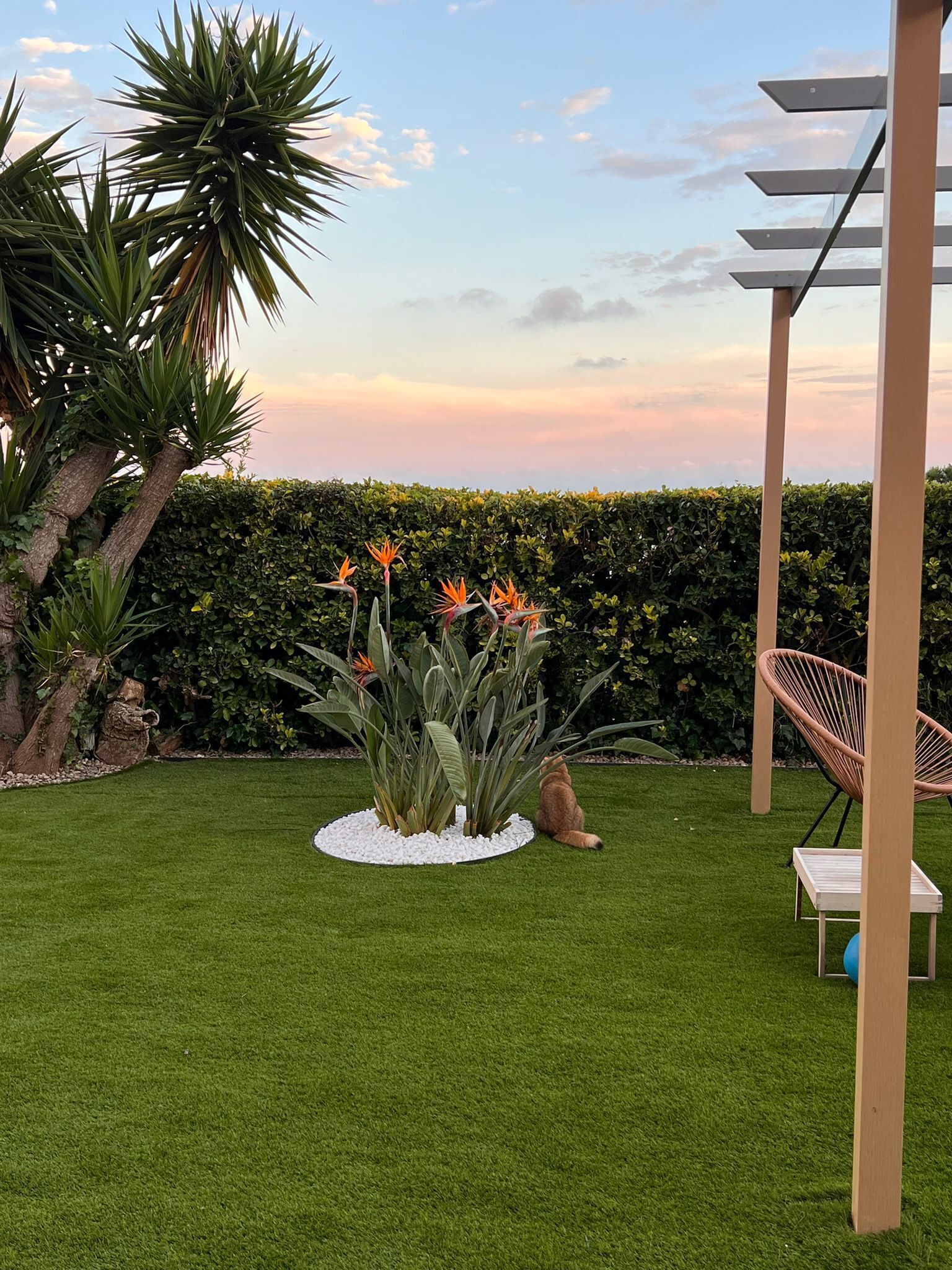 Terraza o patio