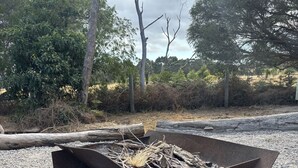 A metal fire pit with logs, surrounded by gravel and trees.