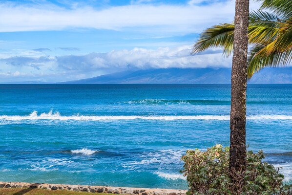 Beach nearby - Remodeled Direct Oceanfront Condo Steps to Pool & Hot Tub-Papakea A209 (Lahaina)