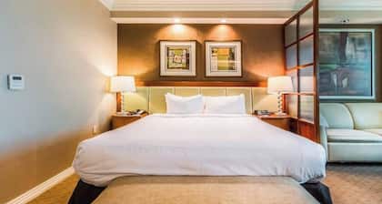 MGM 10719 Signature Strip View Studio