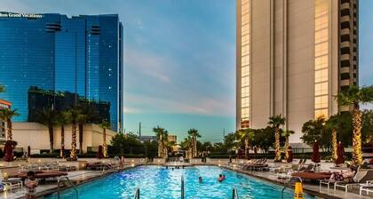 MGM 1811 Deluxe Studio Strip View