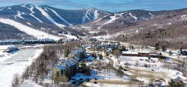 Interior - Mountain Green 3G6 (Killington)