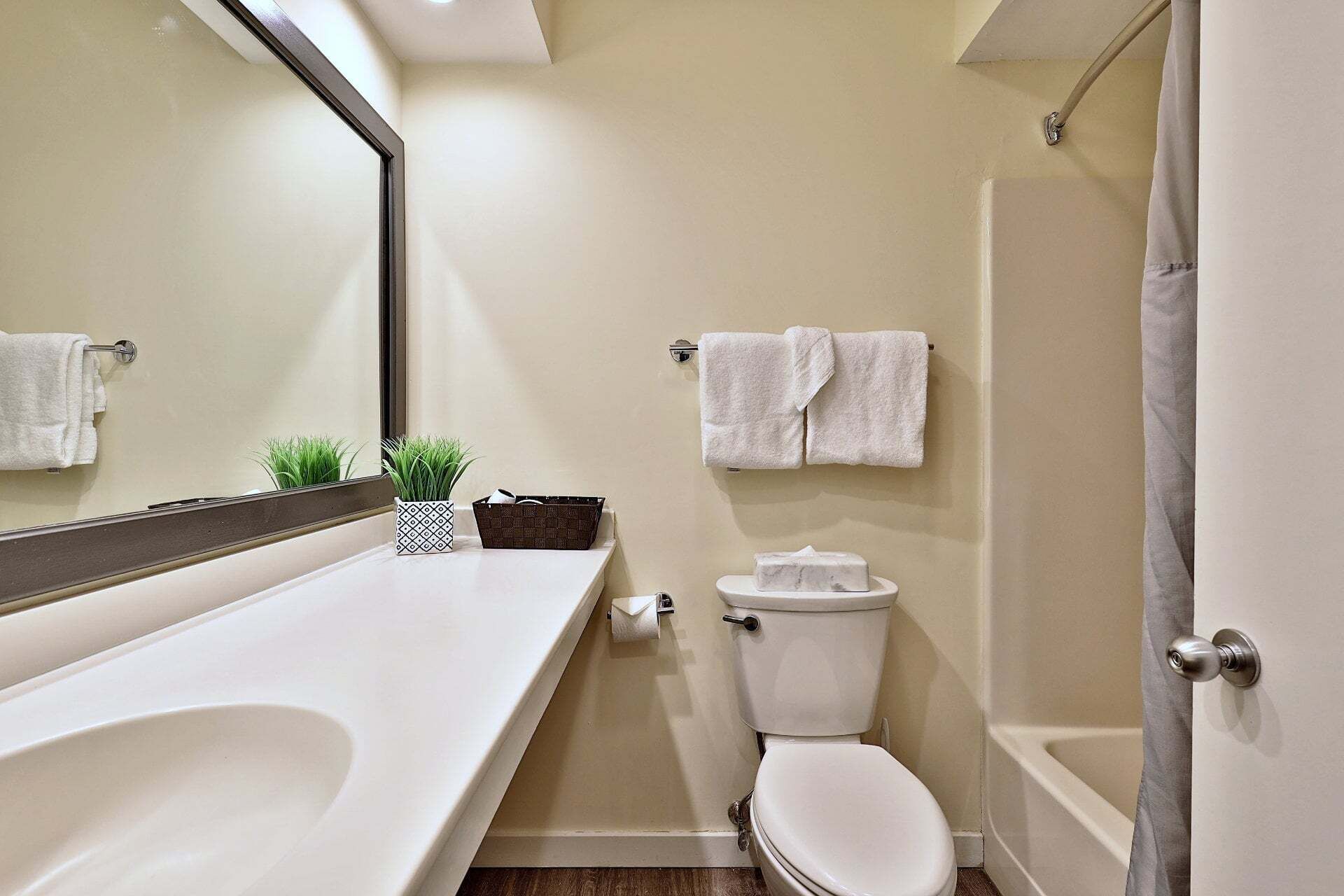 Un baño con lavamanos, inodoro y bañera blancos. Hay dos toallas colgadas en la pared, una planta pequeña en maceta y una cesta en el mostrador.