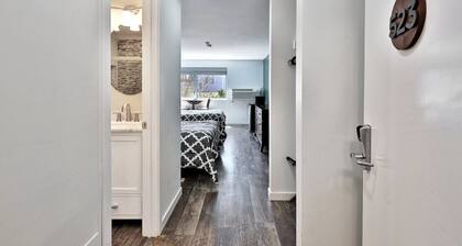 Renovated Studio #523