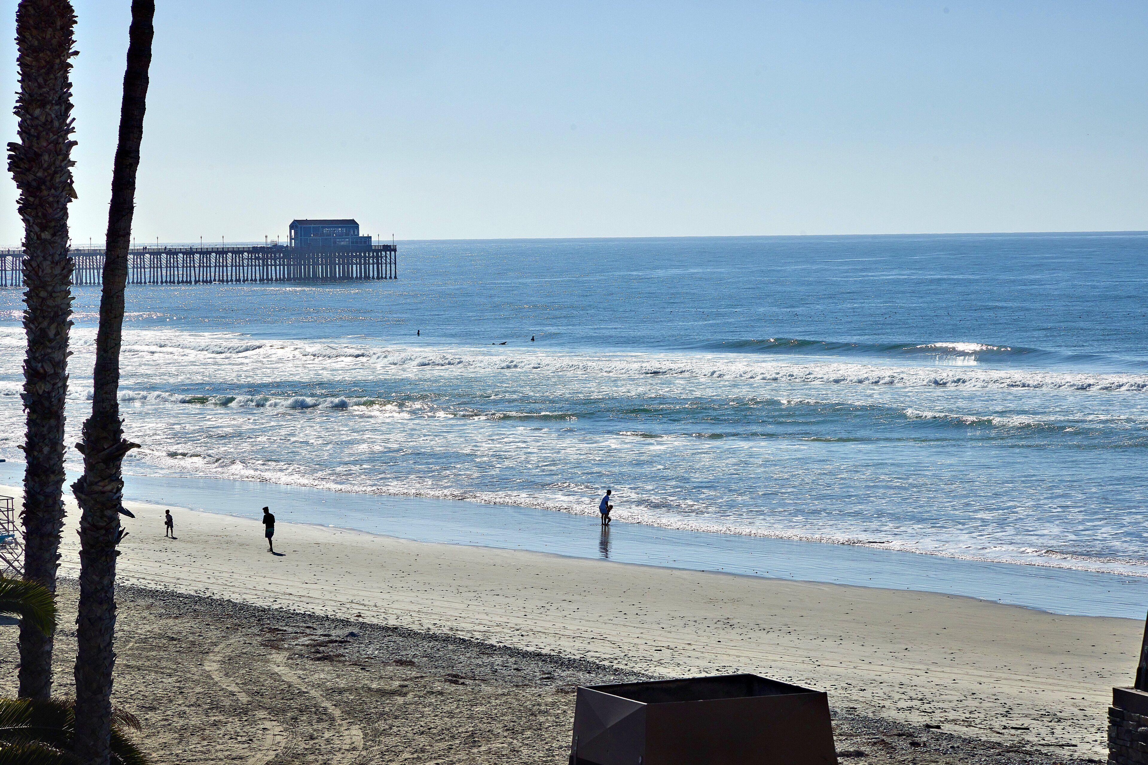 A beach with a pier in the background, palm trees, and a few people walking along the shore.
