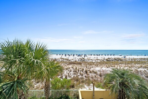 A beach with palm trees, a sandy shore, and a clear blue sky. - Pelican Isle 208 - Sandy Shores (Fort Walton Beach)