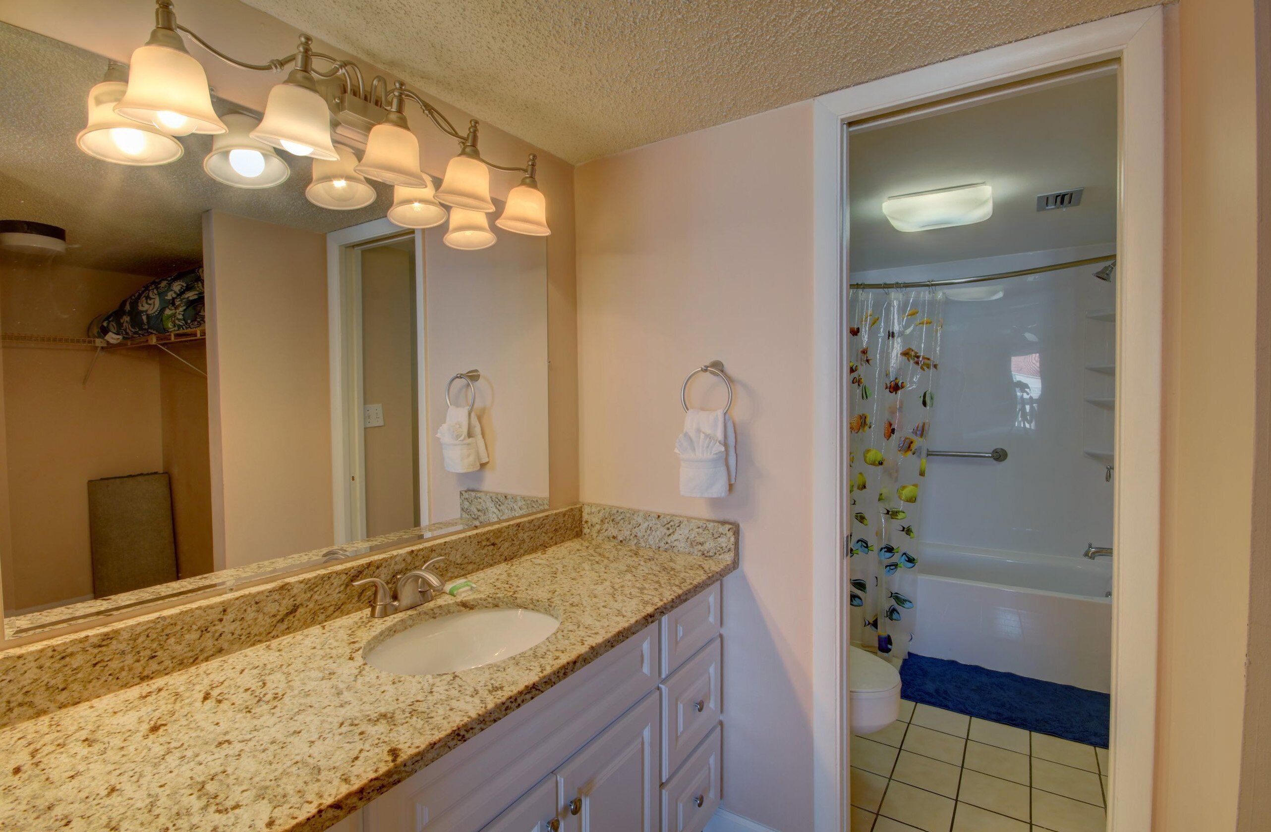 A bathroom with a granite countertop sink, a mirror, a shower with a floral curtain, and a ceiling light fixture.