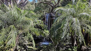 A lush garden with a waterfall, dense foliage, and a small pond. - North Coast Village Cottage G20 (Oceanside)