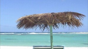 Een strandparasol met een houten frame en een rieten dak, een houten bankje, en een helder uitzicht op de oceaan.