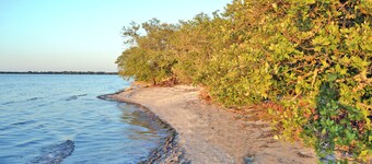 Desoto