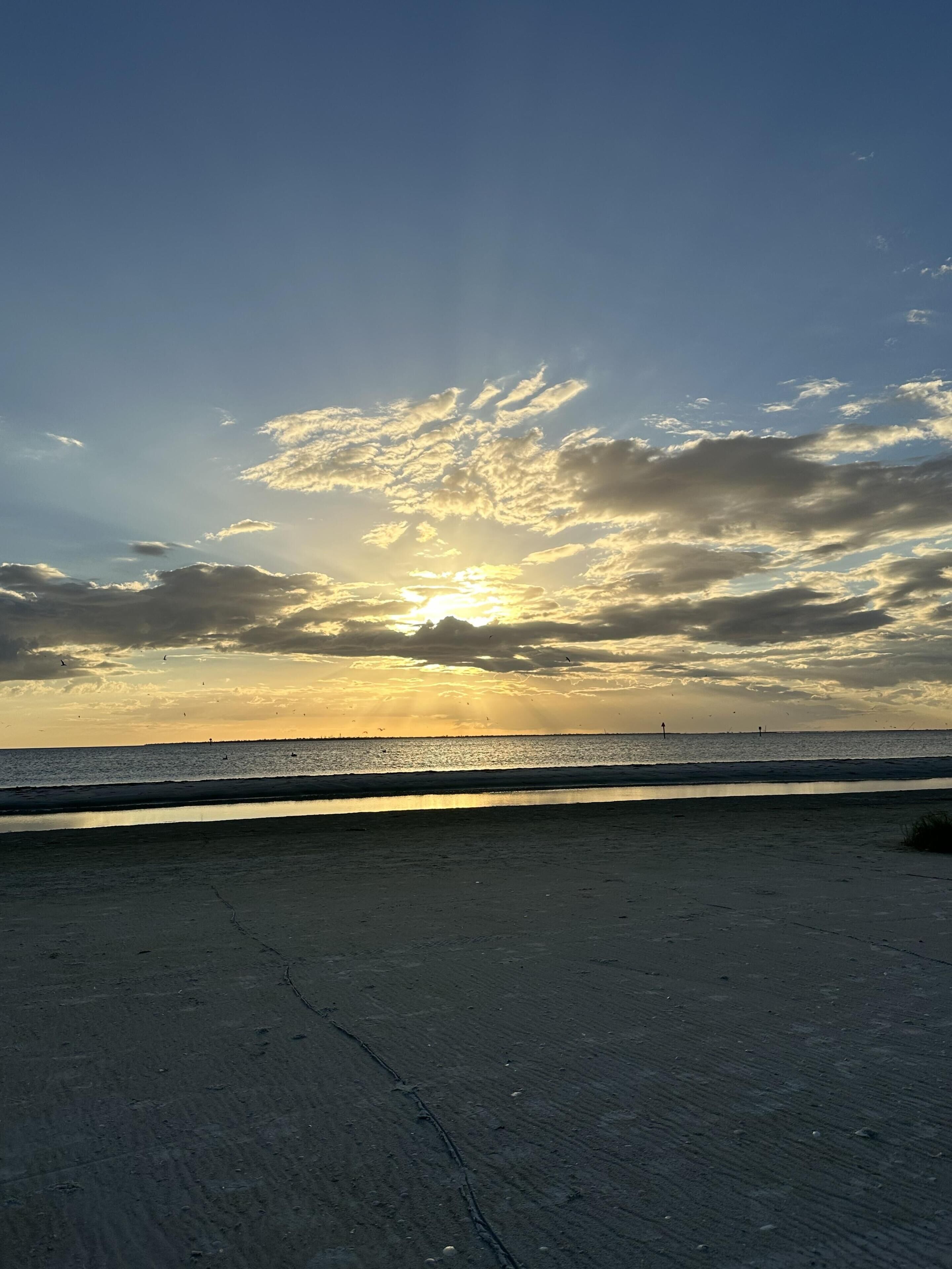 Ein Strand mit blauem Himmel und untergehender oder aufgehender Sonne.