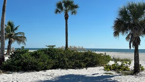 Egy pálmafákkal szegélyezett strand, felette pedig tiszta, kék égbolt.