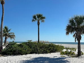 A beach with palm trees and a clear blue sky. - Villa Estero Dream (Fort Myers Beach)