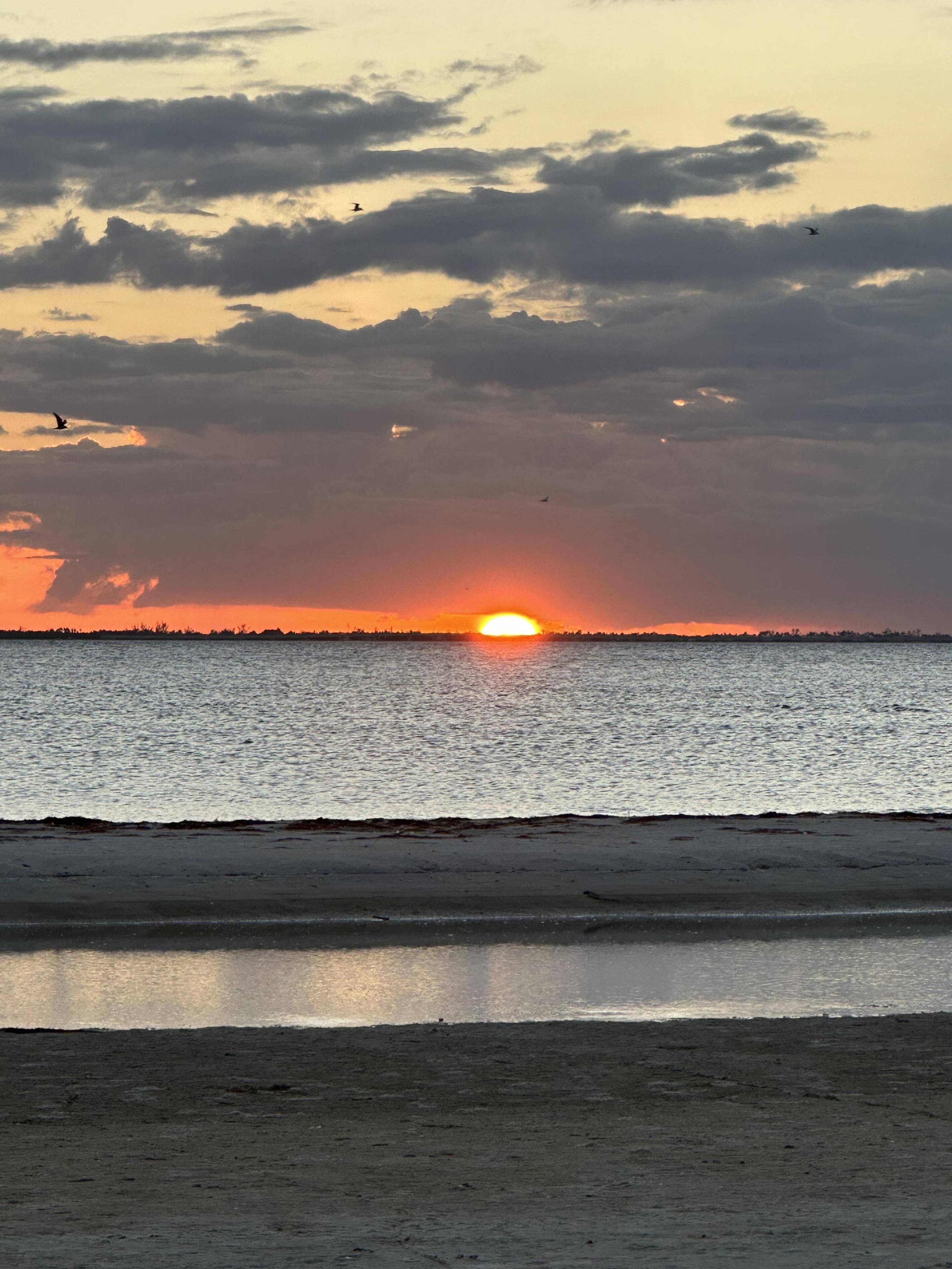 Un coucher de soleil sur une mer calme, avec une plage au premier plan.