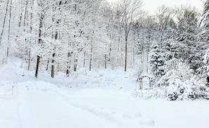 Talo (4 Bedrooms) | Sisätilat