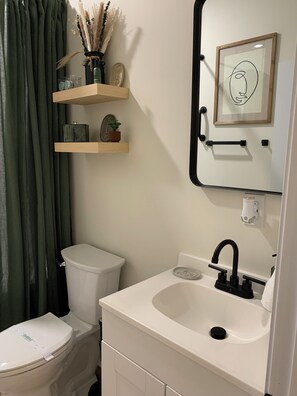 Hair dryer, towels, soap, toilet paper