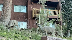 Un bâtiment à la façade en briques, doté d’un balcon en bois, et deux cerfs au premier plan.