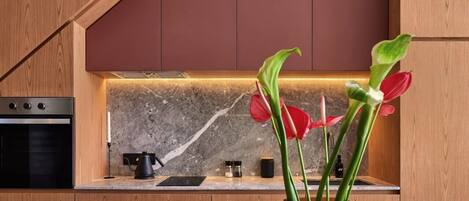 Premium-Stadtwohnung, 3 Schlafzimmer, Nichtraucher, eigener Pool | Eigene Küche | Kühlschrank, Ofen, Kochgeschirr/Geschirr/Besteck