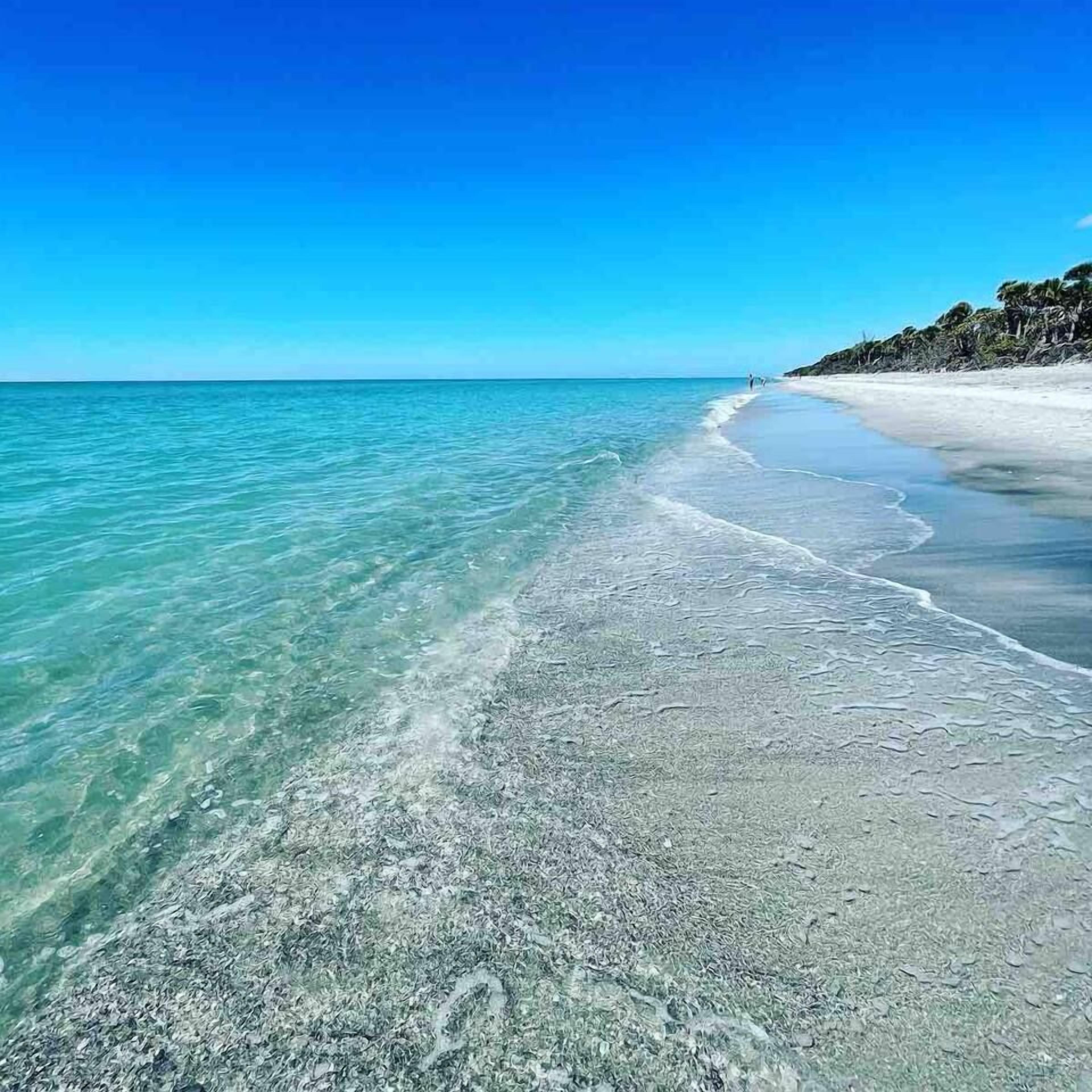 A beach with clear water and a sandy shore.