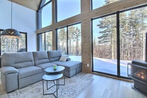 Una televisión, una chimenea