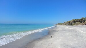 Una spiaggia con acqua cristallina, una riva sabbiosa e una fila di alberi sullo sfondo.