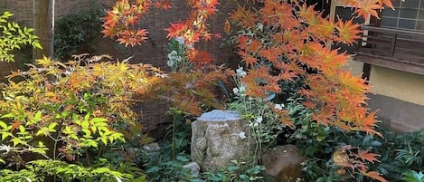 Tomannsrom i japansk stil | Utsikt fra rommet