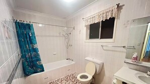 Hair dryer, towels, toilet paper
