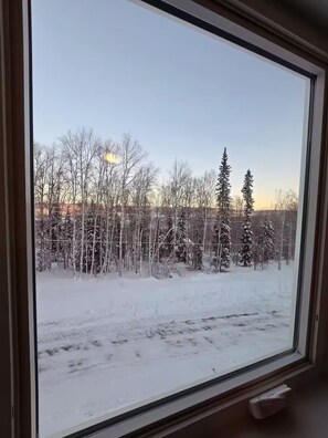 Interior - NEW Cozy Fairbanks Cabin — Scenic Views & Aurora (Fairbanks)