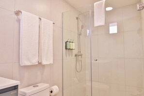 Douche, sèche-cheveux, serviettes fournies, shampoing