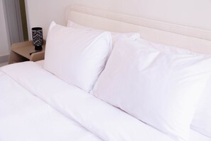 5 chambres, coffres-forts dans les chambres, fer et planche à repasser