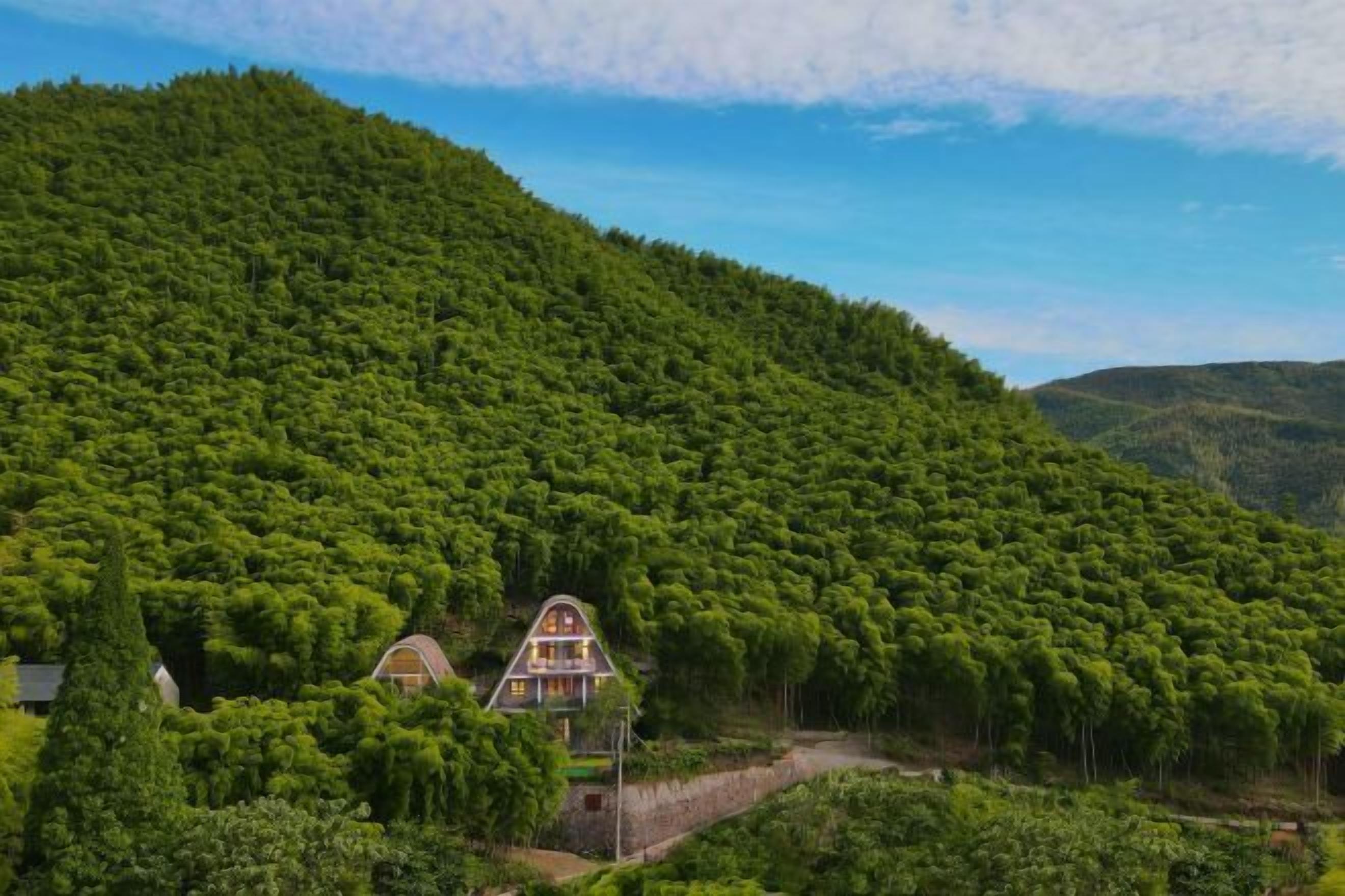 A house nestled in a forested hillside with a clear view of the surrounding greenery.