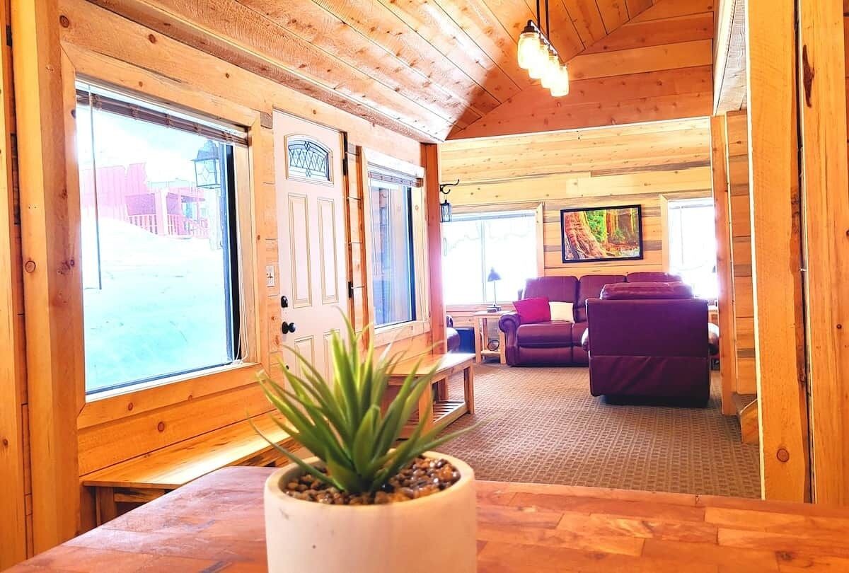 TV, fireplace, DVD player