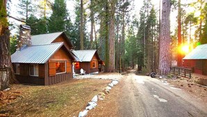Mökki, jossa on metallikatto, puuseinät ja kivinen savupiippu. Mökin luo johtaa sorapolku, ja sen ympärillä kohoaa korkeita puita.